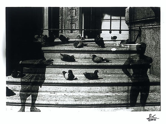 black & white photograph